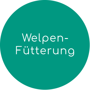 Welpen-Fütterung